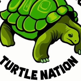 turtle nation radio
