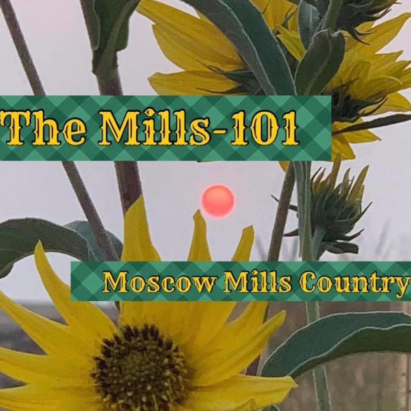 The Mills 101 - Moscow Mills Country!