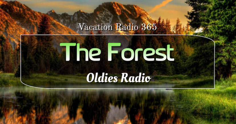 Vacation Radio 365, The Forest