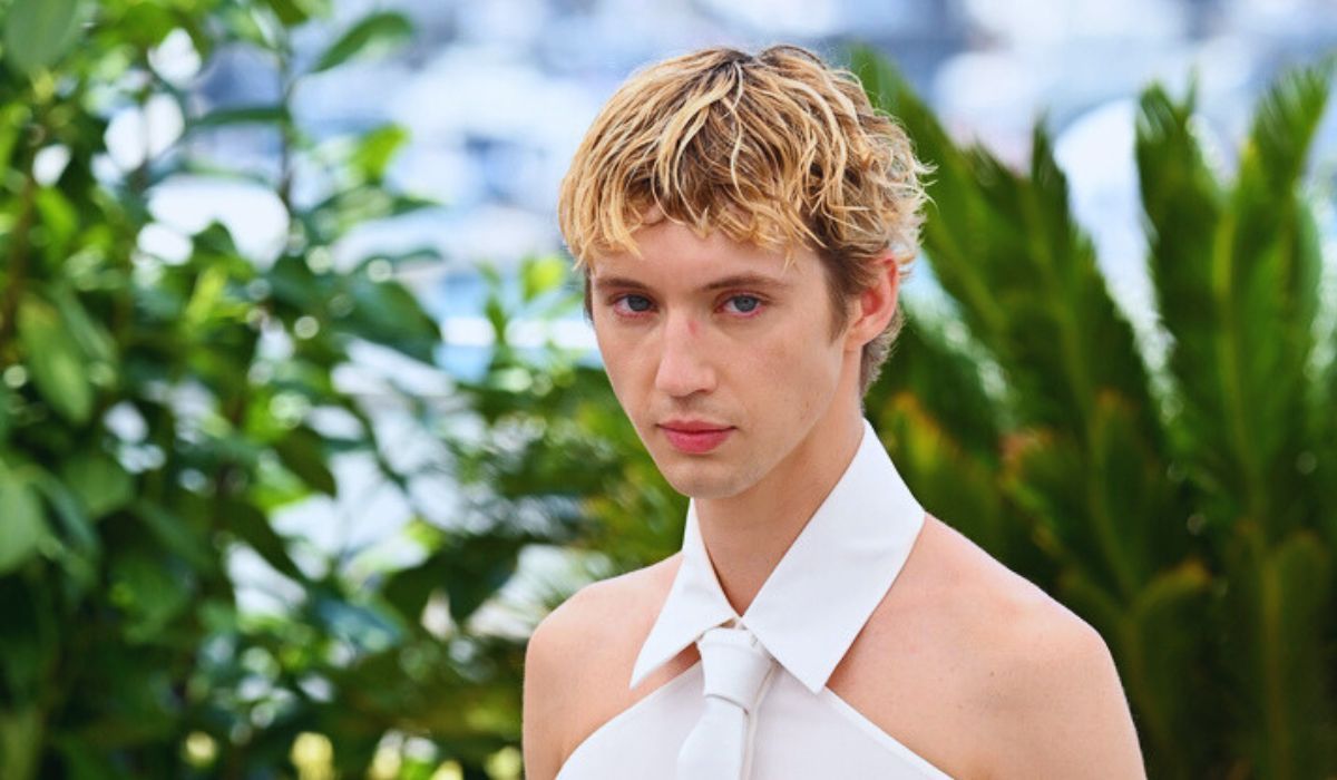 Troye Sivan Covers Billie Eilish's 'What Was I Made For?'(01)